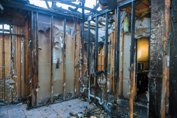Professional Soot Cleanup technician working in Pasadena, MD